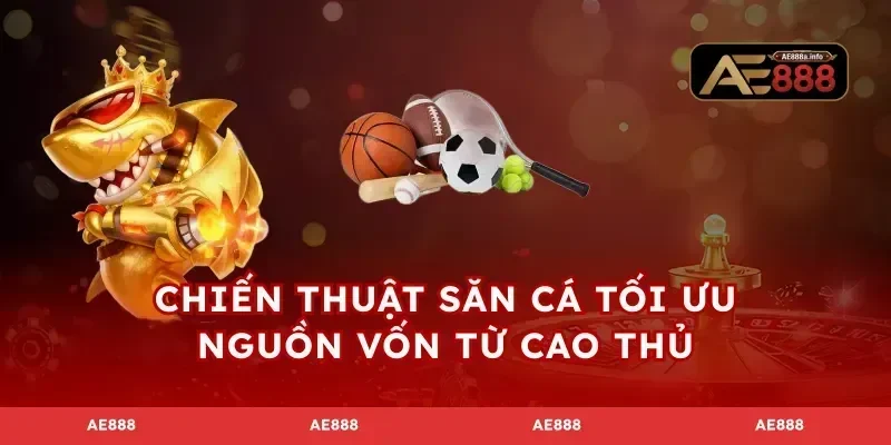 Chiến thuật săn cá tối ưu nguồn vốn từ cao thủ