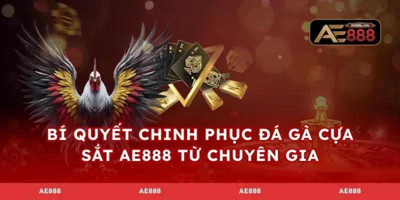 Bí quyết chinh phục đá gà cựa sắt AE888 từ chuyên gia