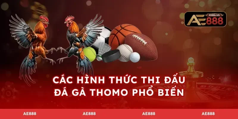 Các hình thức thi đấu đá gà Thomo phổ biến