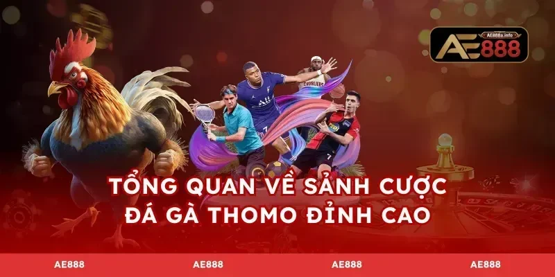 Tổng quan về sảnh cược đá gà Thomo đỉnh cao