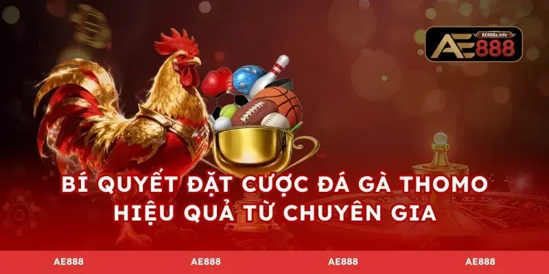 Bí quyết đặt cược đá gà Thomo hiệu quả từ chuyên gia
