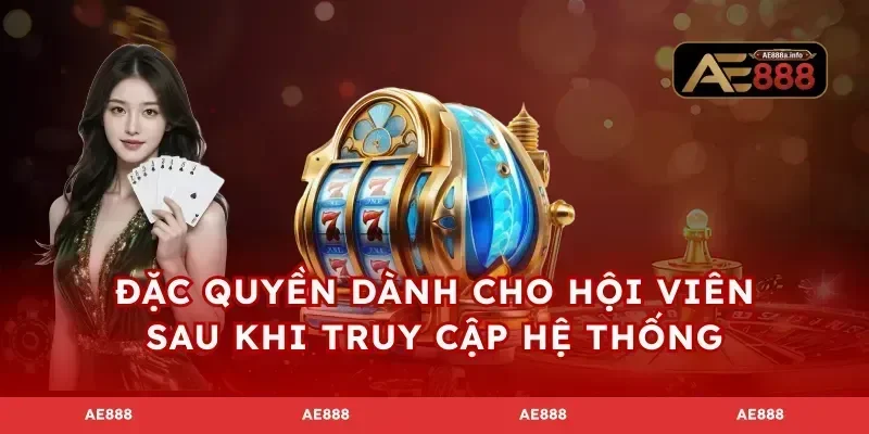 Đặc quyền dành cho hội viên sau khi truy cập hệ thống