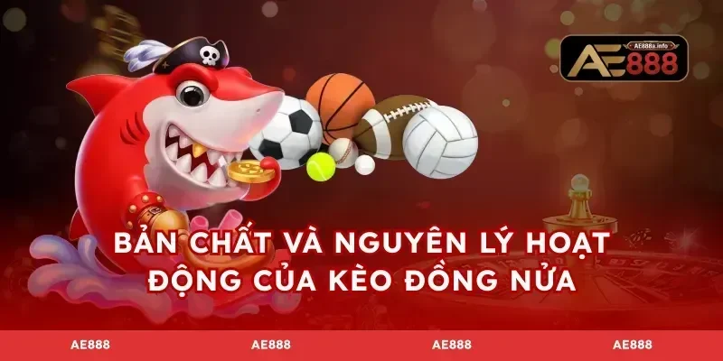 Bản chất và nguyên lý hoạt động của kèo đồng nửa
