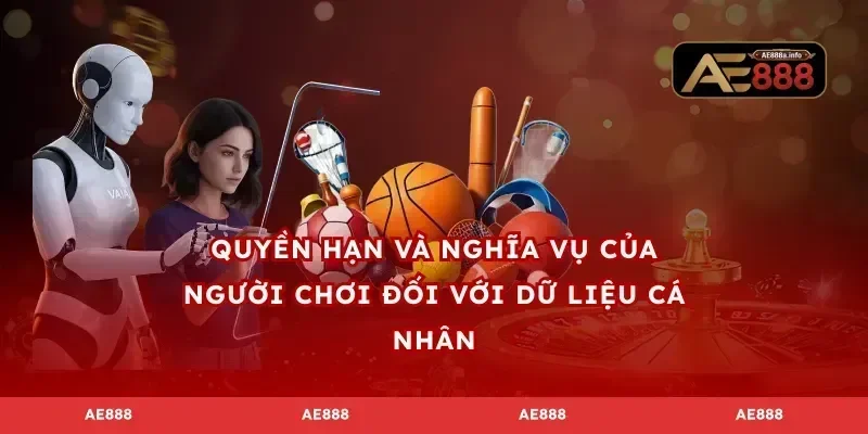 Quyền hạn và nghĩa vụ của người chơi đối với dữ liệu cá nhân